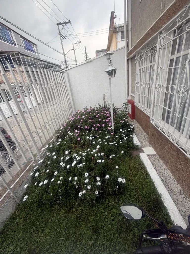 jardin