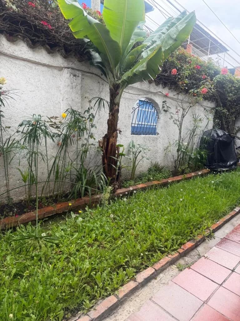 jardin